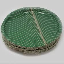 Green Disposable Paper Plate Pack of 25 Pcs.